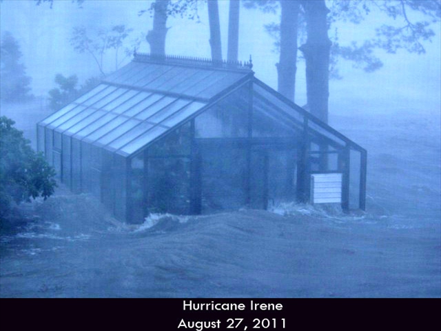 Hurricane-Greenhouse-5